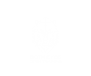 Logo Design by Dhanush Rai for Both Eyes Open Training | Design: #9258505