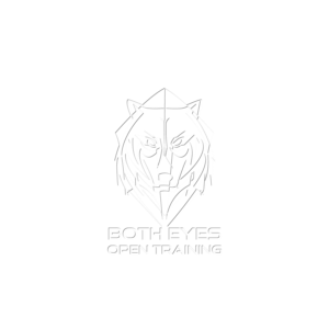 Logo Design by Dhanush Rai for Both Eyes Open Training | Design: #9258733