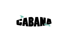 Logo Design by Dsigner