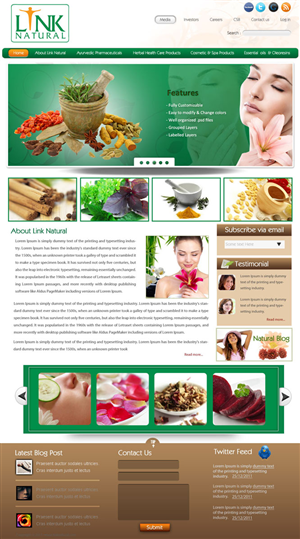 Wordpress Design by pb for Exigosoft | Design: #421486