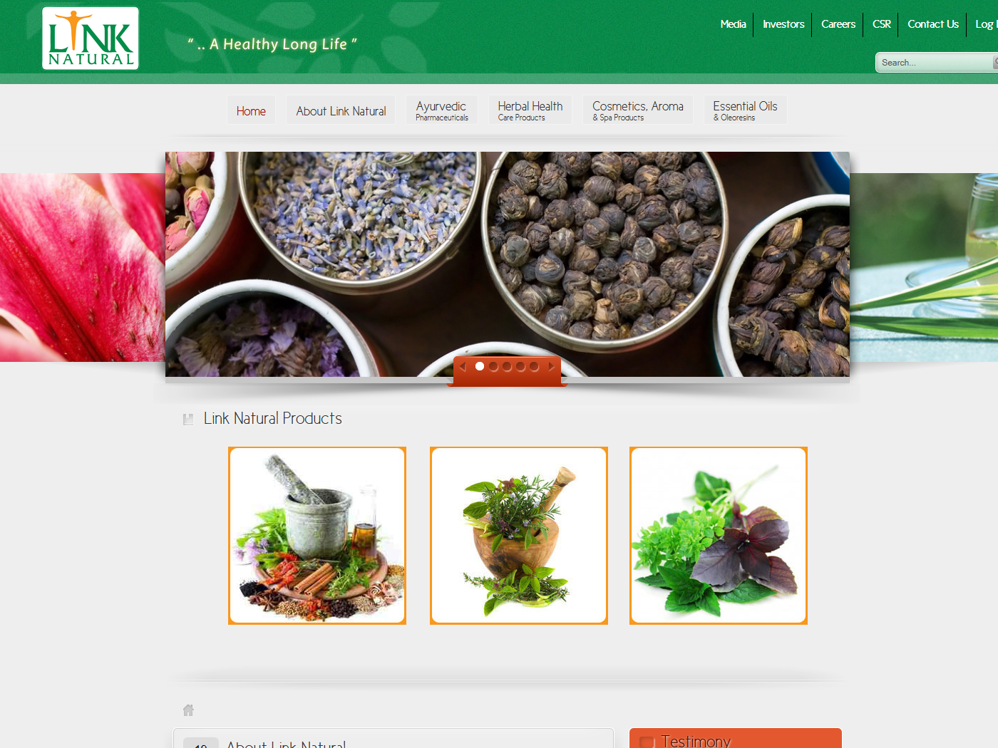 WordPress-Design von roshga für Exigosoft | Design #419152