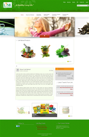 Wordpress Design by roshga for Exigosoft | Design: #421768