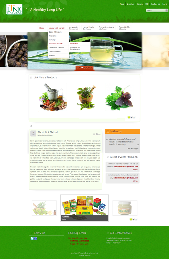 Diseño Wordpress por roshga para Exigosoft | Diseño #421770