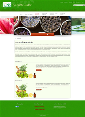 Wordpress Design by roshga for Exigosoft | Design: #421772