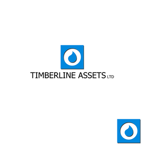 Logo Design by ARSLAN YASEEN ABBASI for Timberline Assets, Ltd | Design #2038046