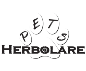 Design de Logo par FF Design pour Herbolare | Design : #9317984