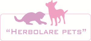Logo Design by venurapublications