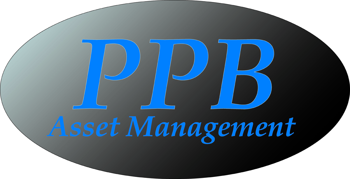 Logo Design by J G for Platinum Portfolio Builder | Design #2046147