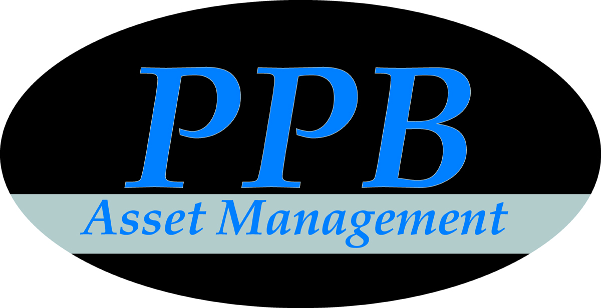 Logo Design by J G for Platinum Portfolio Builder | Design #2046164