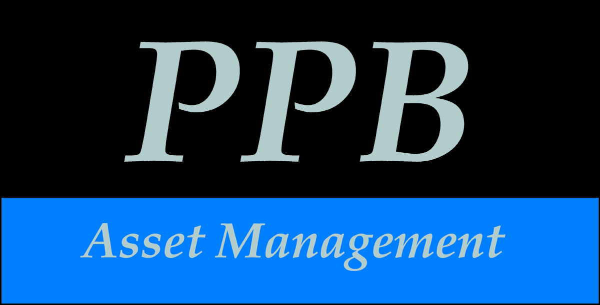 Logo Design by J G for Platinum Portfolio Builder | Design #2046171