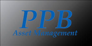 Logo Design by J G for Platinum Portfolio Builder | Design: #2046177