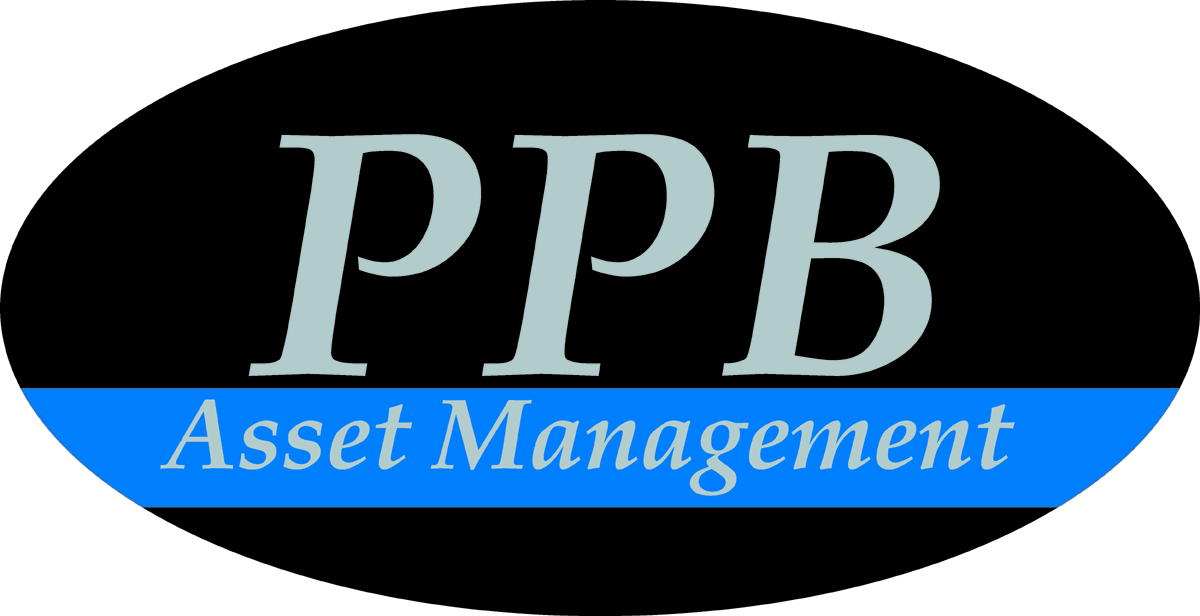 Logo Design by J G for Platinum Portfolio Builder | Design #2046181