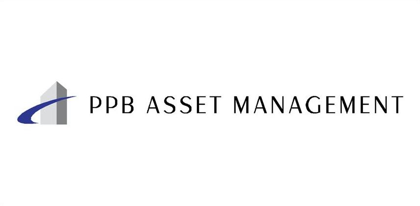 Diseño de Logo por Peachey's Design 2024 para Platinum Portfolio Builder | Diseño #2046781