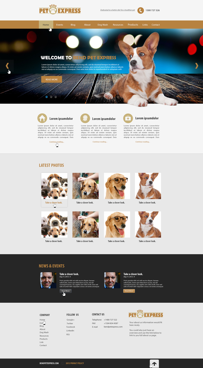 Web Design by Shigh5 for Alpine Internet | Design #9268719