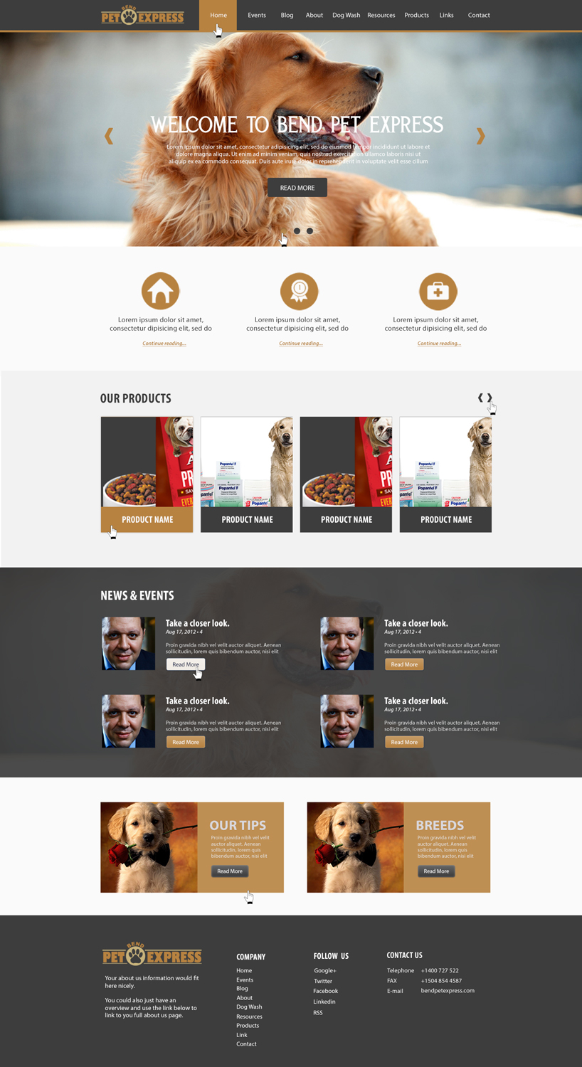 Web Design by Shigh5 for Alpine Internet | Design #9275062