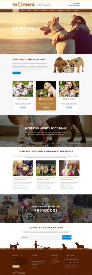 Web Design by pb for Alpine Internet | Design: #9268320