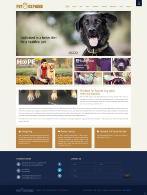 Web Design by pb for Alpine Internet | Design: #9268323