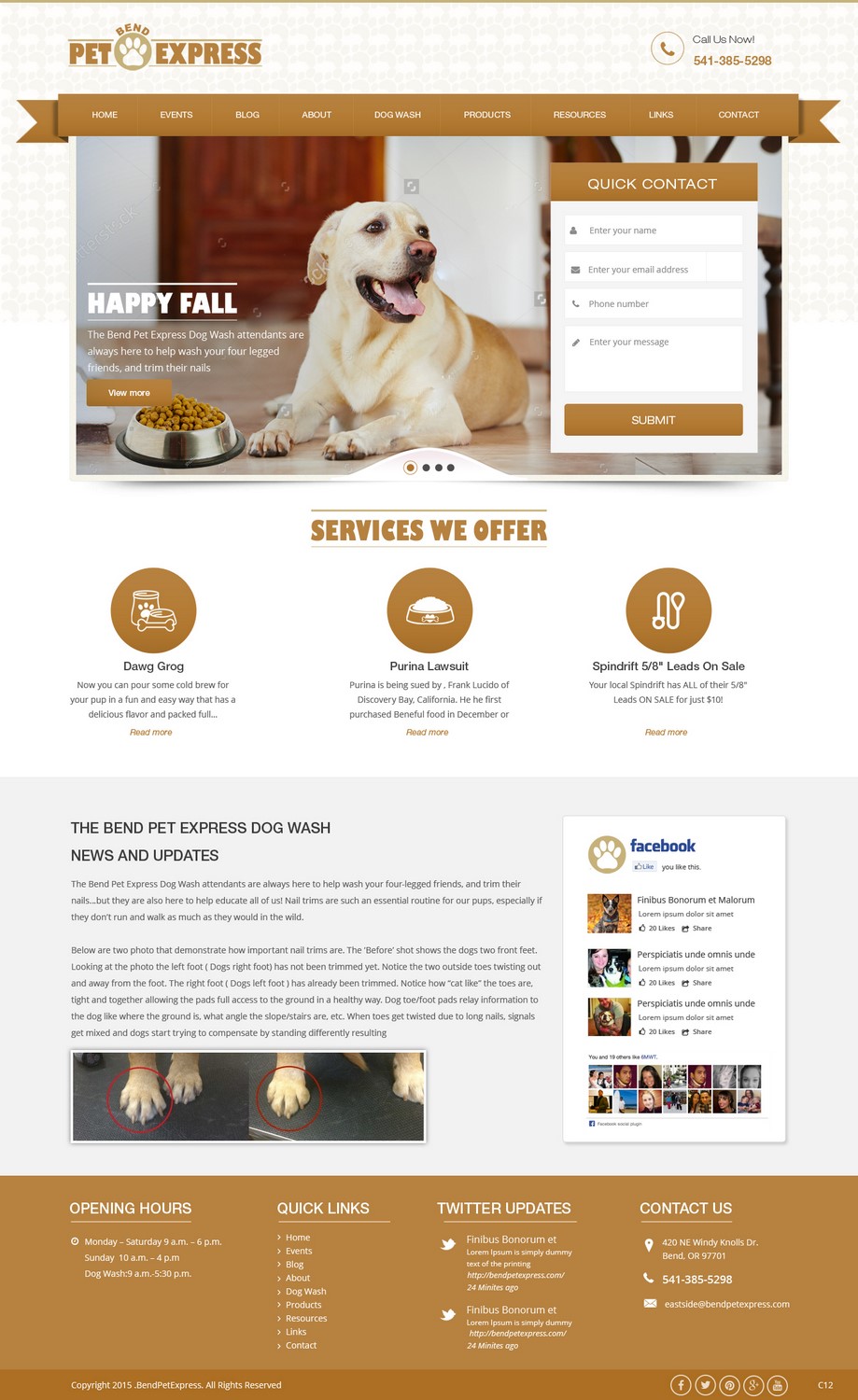 Web Design by pb for Alpine Internet | Design #9269105