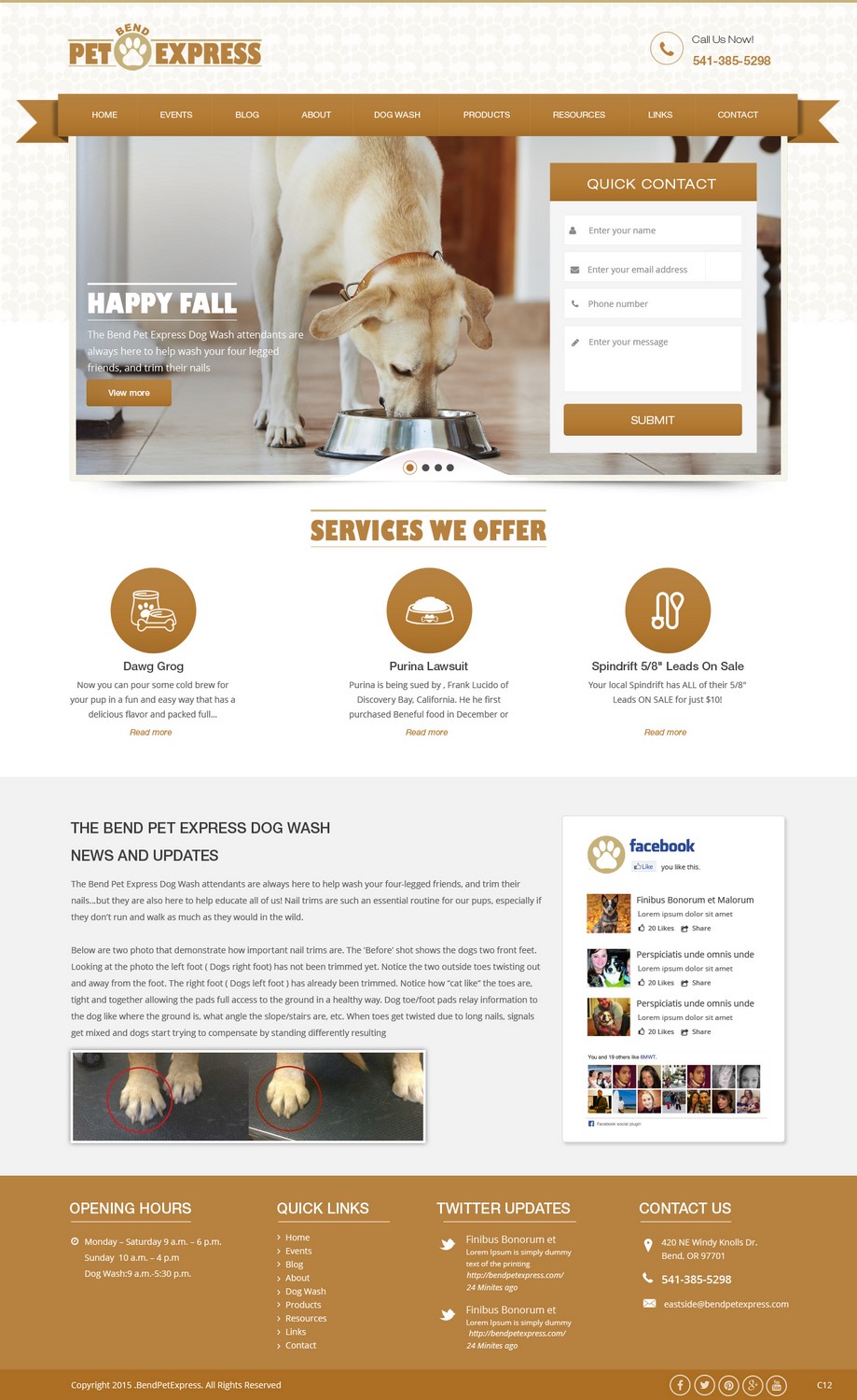 Web Design by pb for Alpine Internet | Design #9269106