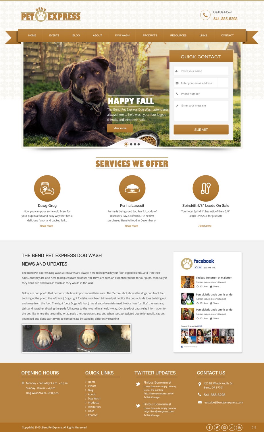 Web Design by pb for Alpine Internet | Design #9269107