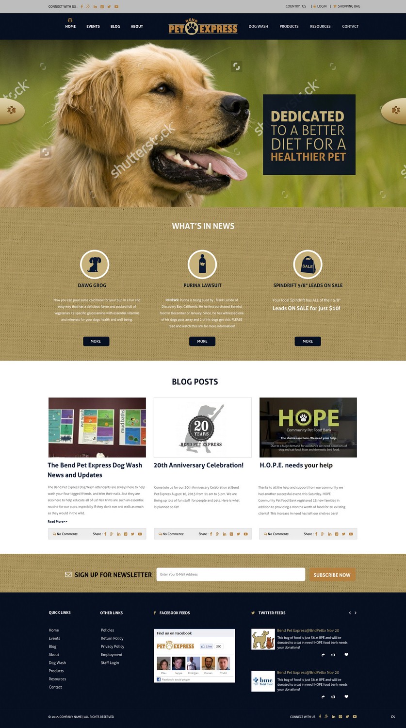 Web Design by pb for Alpine Internet | Design #9275797