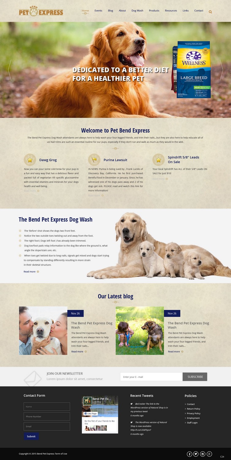 Web Design by pb for Alpine Internet | Design #9275798