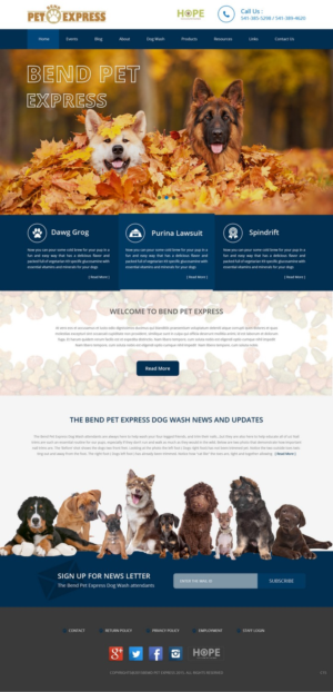 Web Design by pb for Alpine Internet | Design: #9290239