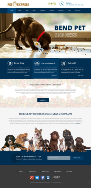 Web Design by pb for Alpine Internet | Design: #9290241