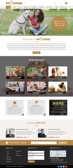 Web Design by Sbss for Alpine Internet | Design: #9267318