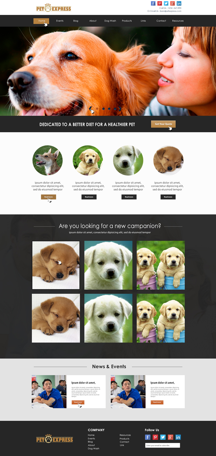Web Design by DesignPoint1845 for Alpine Internet | Design #9276538