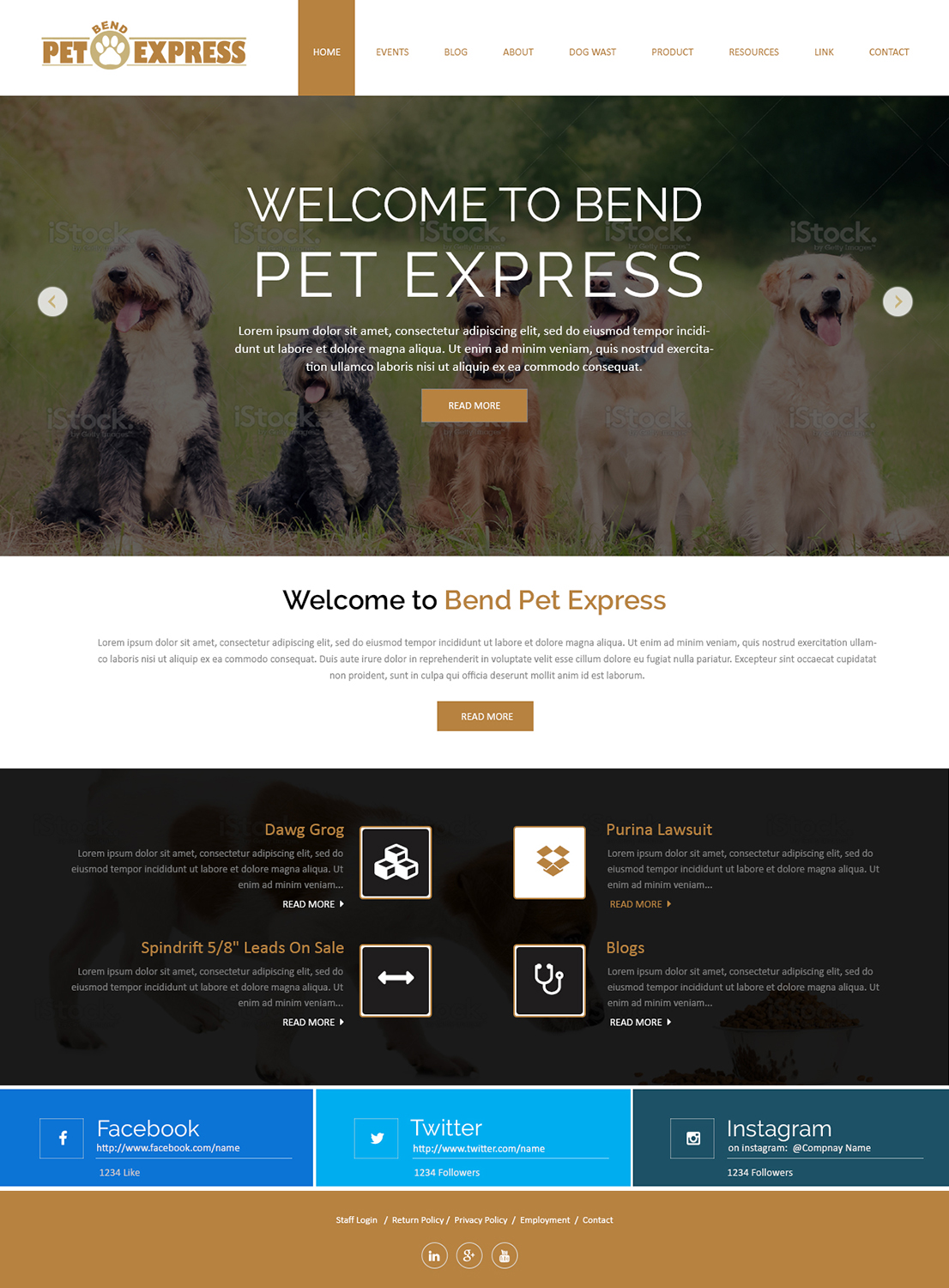 Web Design by Creations Box 2015 for Alpine Internet | Design #9269396