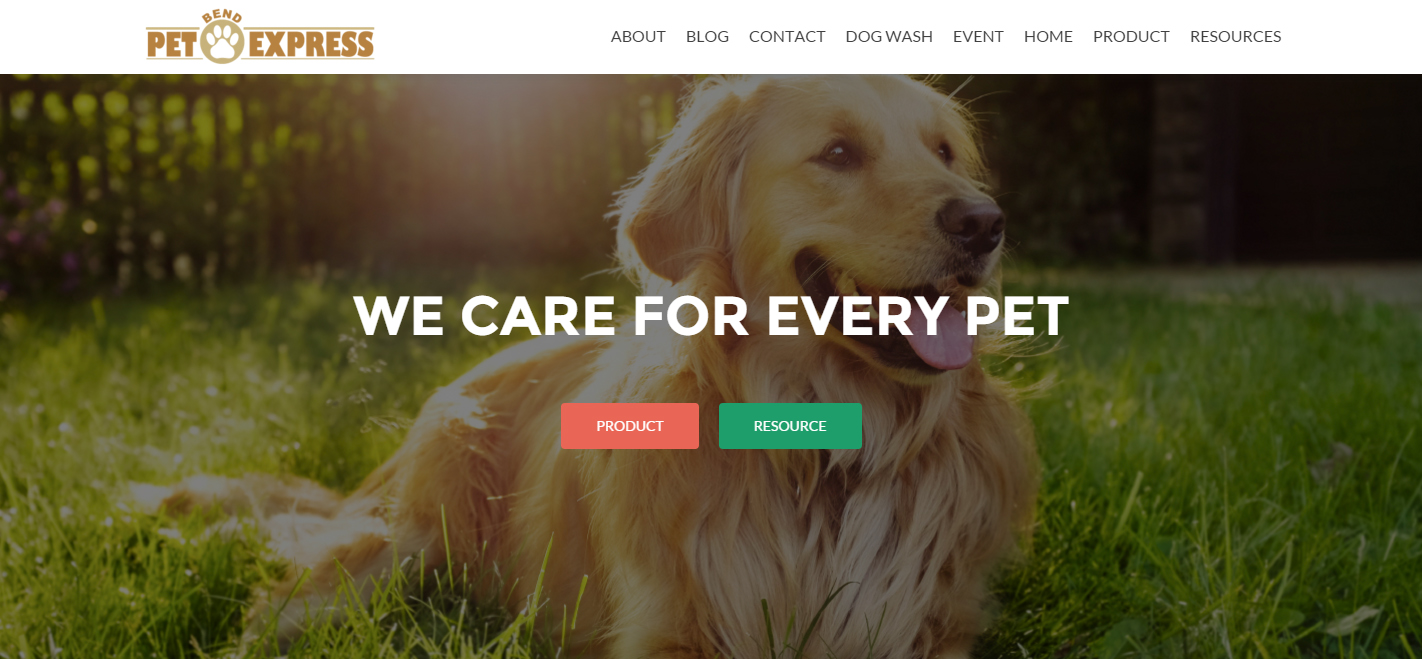 Web Design by Rahul Rao for Alpine Internet | Design #9268529