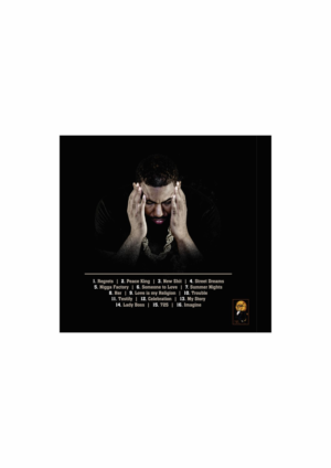 CD Cover Design by DG for this project | Design: #9379687