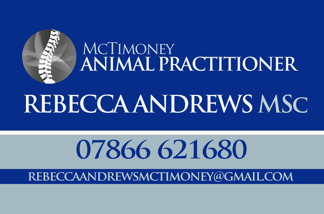 Business Card Design by Premier1 Graphix for this project | Design #9304570