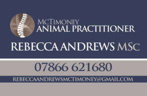 Business Card Design by Premier1 Graphix