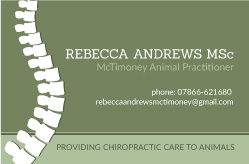 Business Card Design by Tricia Principe for this project | Design #9304318