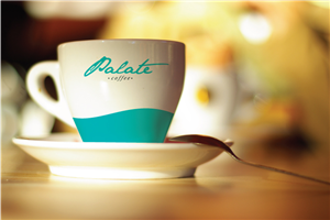 Logo Design by chrisgk for CA PHE HOLDINGS PTY LTD | Design: #2037709
