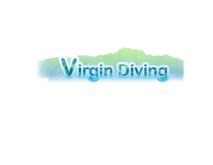 Logo Design by TS computer graphic