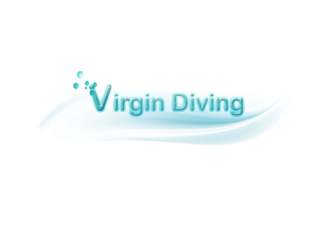 Logo Design by TS computer graphic for this project | Design #9270837