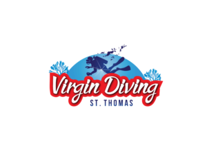 Logo Design by dm.design