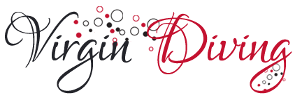 Logo Design by chetansoni for this project | Design #9270674