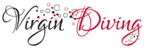 Logo Design by chetansoni for this project | Design #9270674