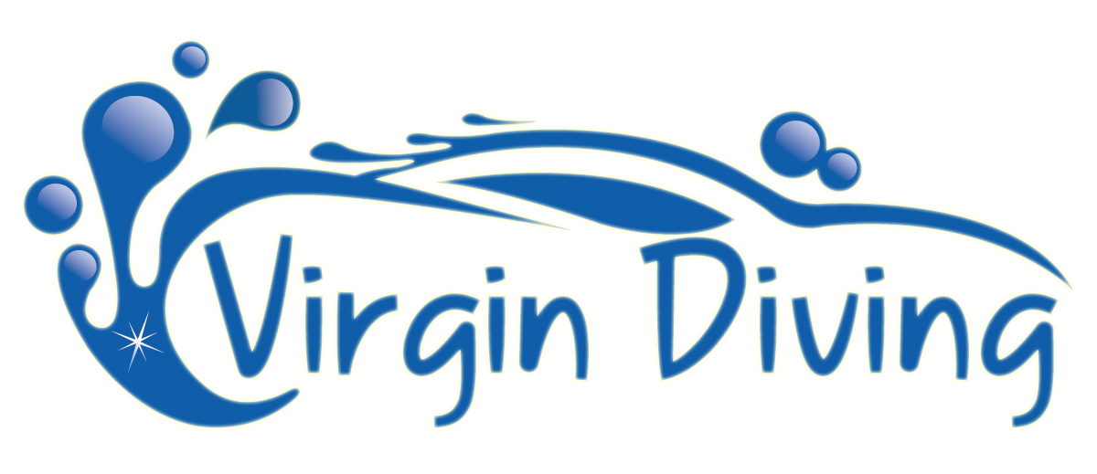 Logo Design by chetansoni for this project | Design #9270675