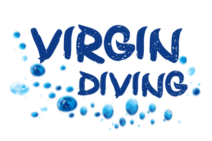 Logo Design by chetansoni for this project | Design #9270676