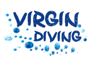 Logo Design by chetansoni for this project | Design: #9270676