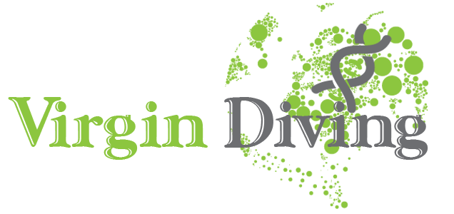 Logo Design by chetansoni for this project | Design #9270677