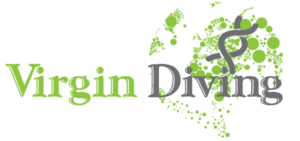 Logo Design by chetansoni for this project | Design: #9270677