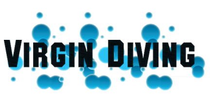 Logo Design by chetansoni for this project | Design #9270678