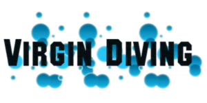 Design de Logo par chetansoni pour ce projet | Design : #9270678