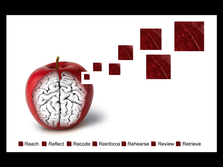 Illustration Design by whitepaper for Kestrel Innovations Ltd | Design #2055328